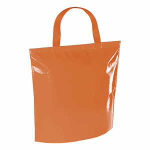 Hobart Cooler Bag