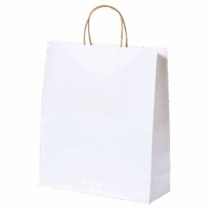 Bag Cynthia