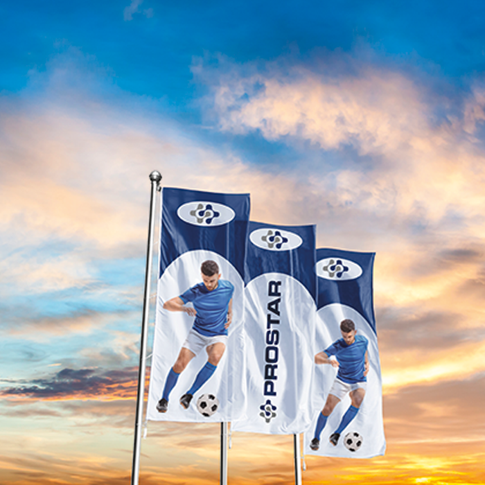 Corporate Flag Double Sided Digital