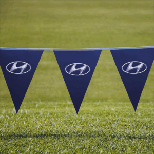 Pennants PVC Digital Single Sided Triangle