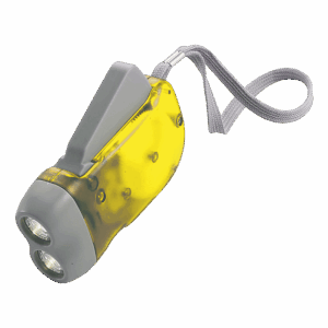 Dynamo Torch with 2 LED Lights