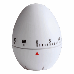 Egg Shaped Plastic Kitchen Timer