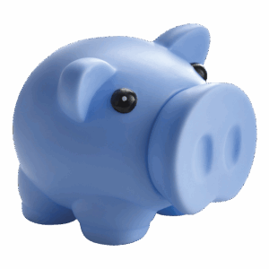 Piggy Bank with Nose Stopper