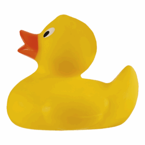 Rubber Ducky