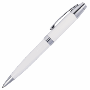 Metal Ballpoint Pen in Matching Tube