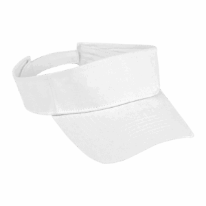 Arena Visor