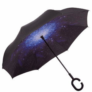 Printed Reversible Umbrella