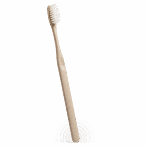 Toothbrush Cleidol