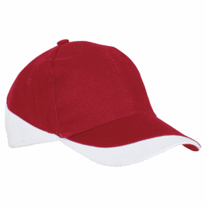 6 Panel Pro Spec Cap