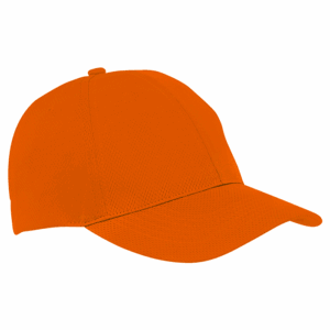 6 Panel Alloy Cap