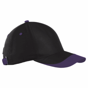 6 Panel Sway Cap