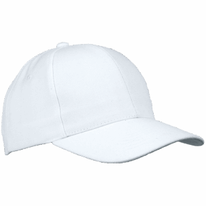 6 Panel Raven Cap