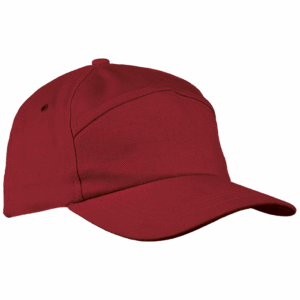 6 Panel Carbon Cap