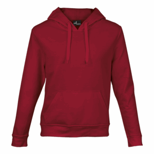 Basic Promo Hooded Sweater