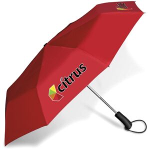 Whimsical Auto-Open Compact Umbrella - Red